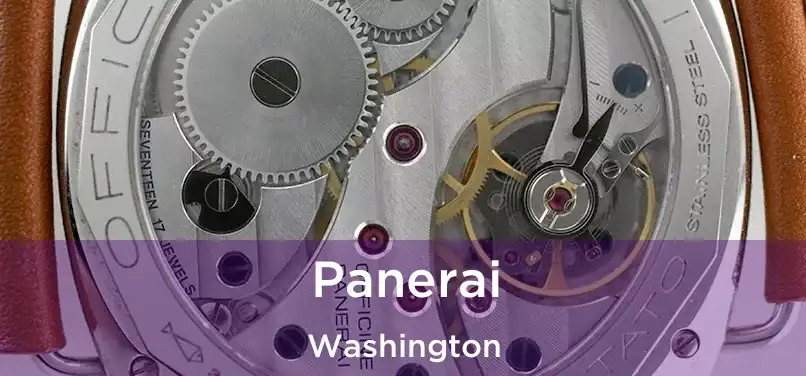  Panerai Washington