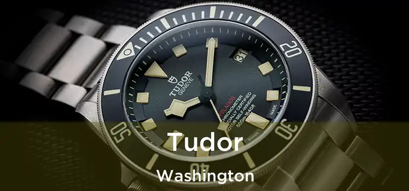  Tudor Washington